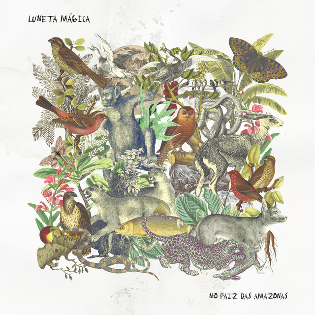 No Paiz das Amazonas cover art