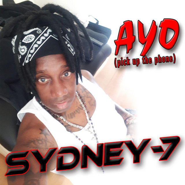 Ayo (Pick Up the Phone) - Twerking-Chick-Rmx cover art