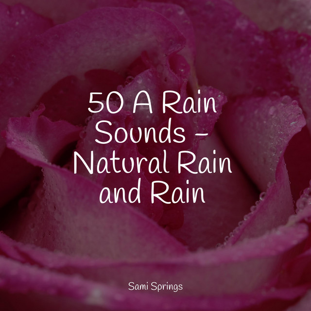 50 A Rain Sounds - Natural Rain and Rain - Album by The White Noise Zen ...