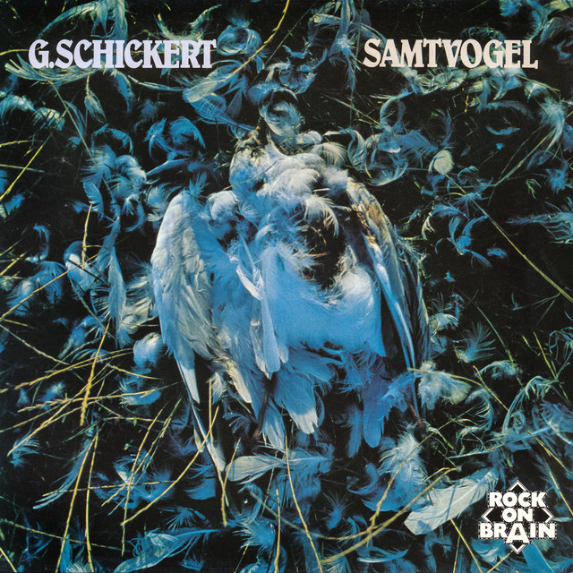 Samtvogel cover