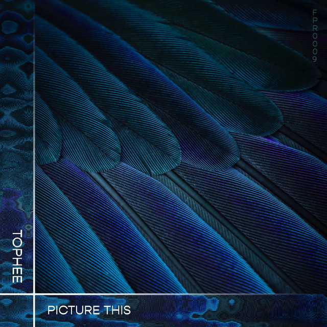 Anamorphosis cover art