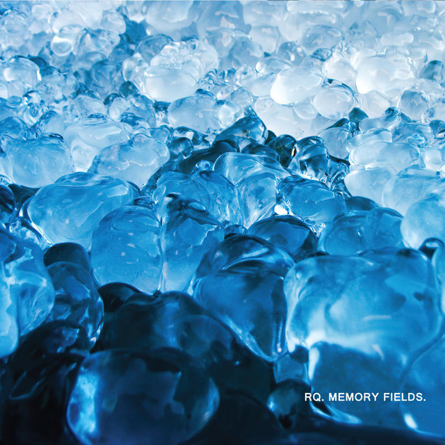 Memory Fields cover art
