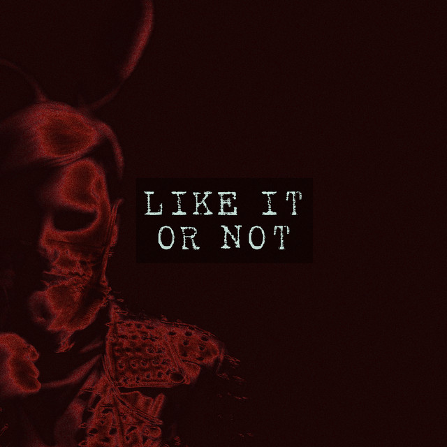Like It or Not cover