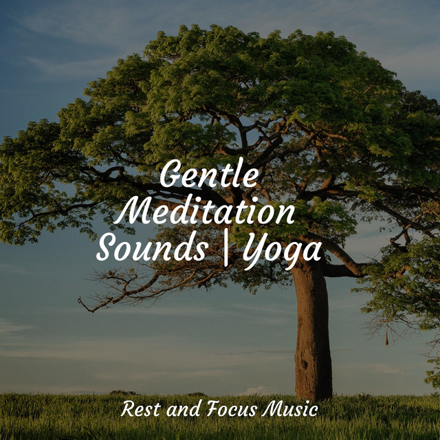 Gentle Meditation Sounds | Yoga - Album by Música Zen Relaxante | Spotify