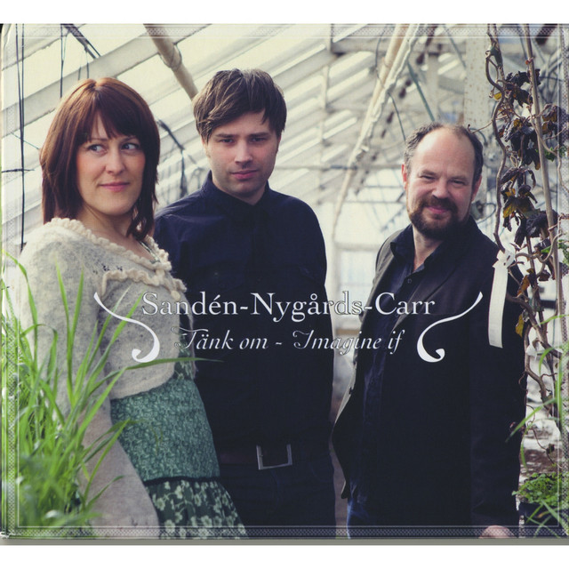 Tänk om jag kund beskriva cover art