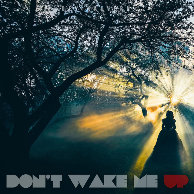 Don’t Wake Me Up