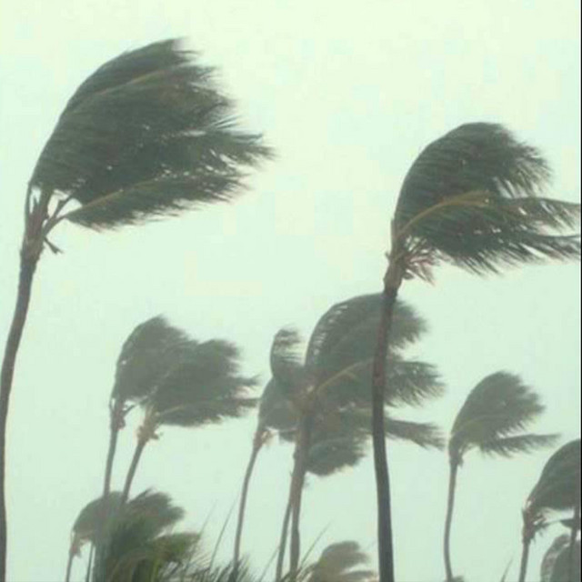 wind cover art