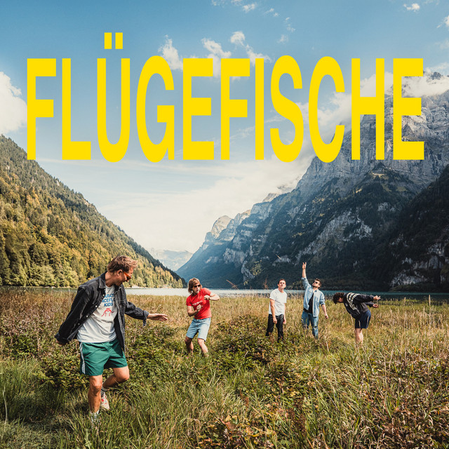 Listen to Flügefische - Single by Hecht | Spotify