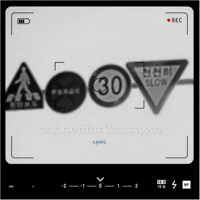 kangaroo effect cover art