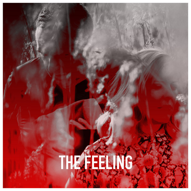 The Feeling - Single by Northern Kind | Spotify