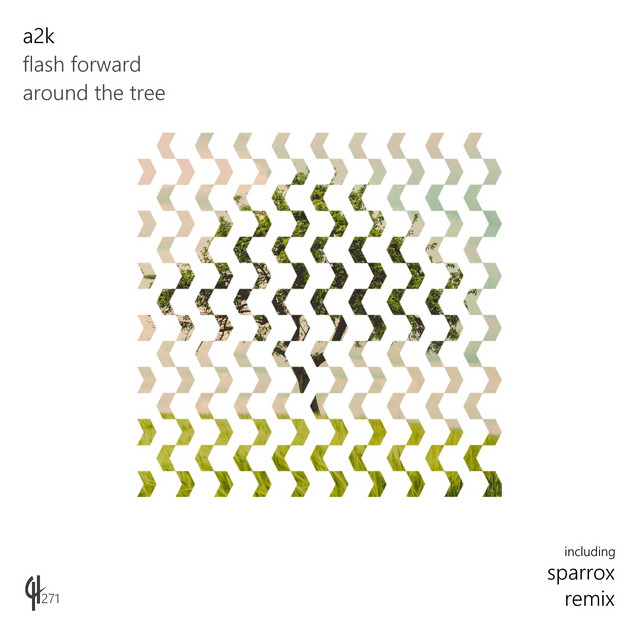 Flash Forward cover art