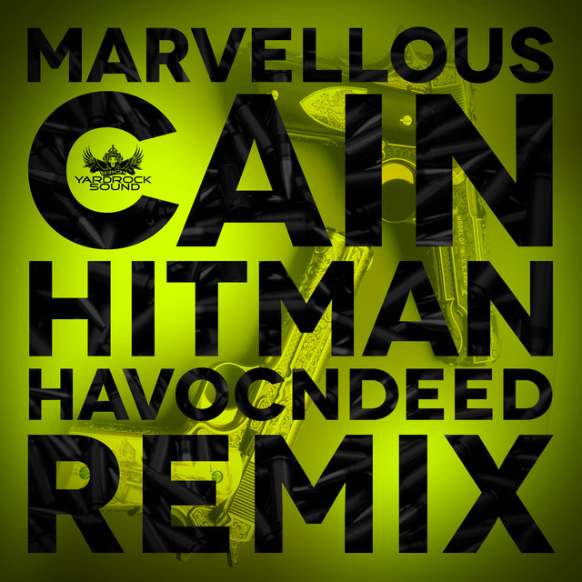 The HitMan - HavocNdeeD Remix artwork