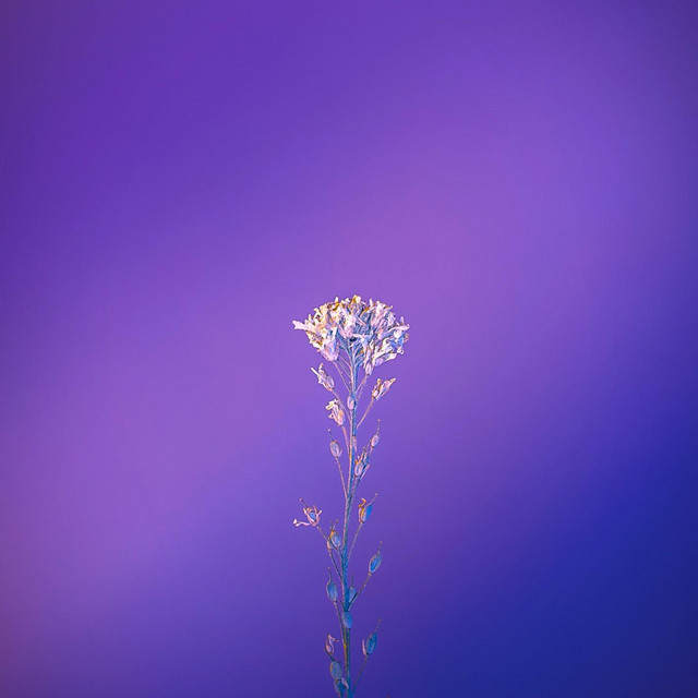 Heal cover art