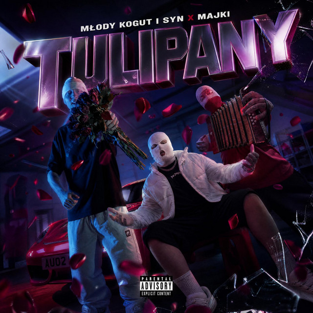 TULIPANY album image