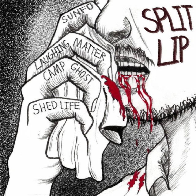 SPLIT LIP cover art