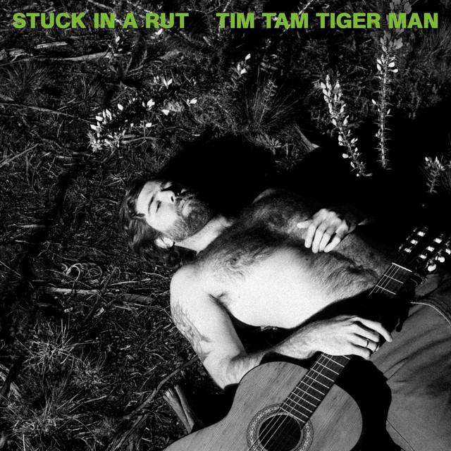 Stuck in a Rut - Album by Tim Tam Tiger Man | Spotify