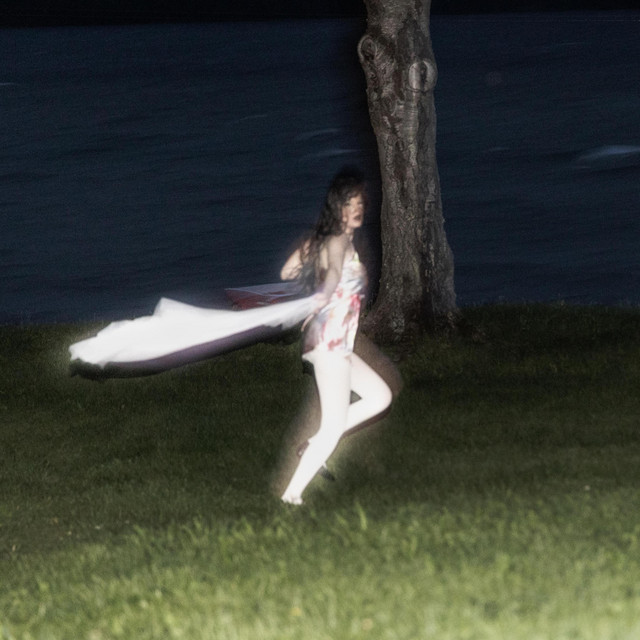 Lose cover art