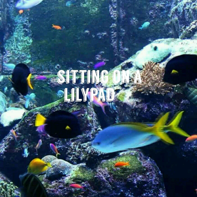 Sitting on a Lilypad cover art