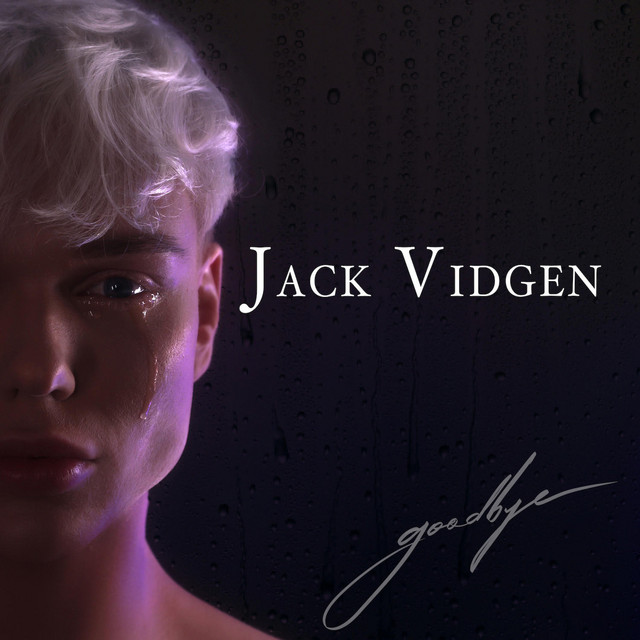 Goodbye cover