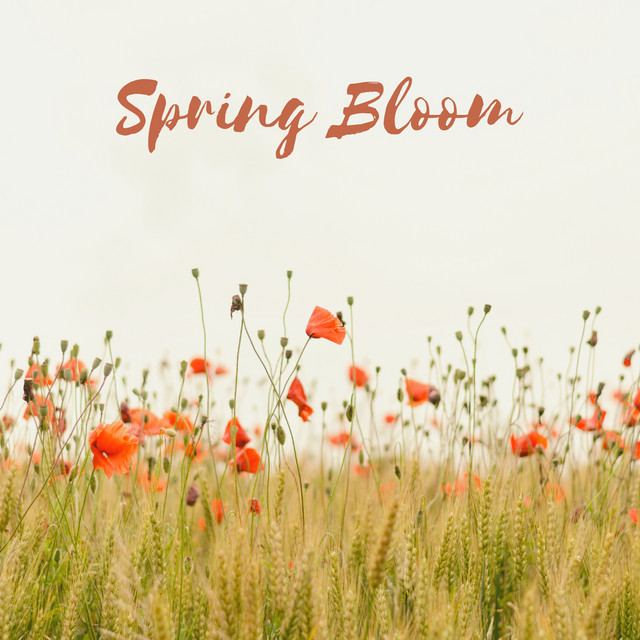 Spring Bloom cover art