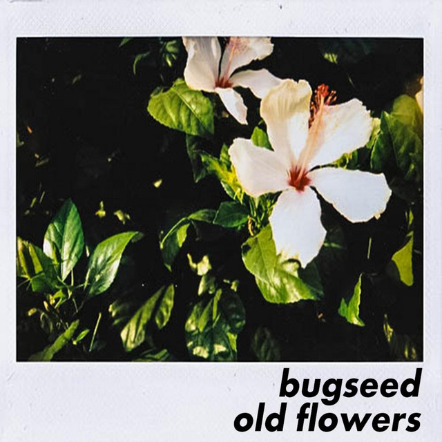 Old Flowers cover art