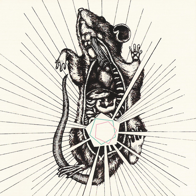 River, Bear Your Bones cover
