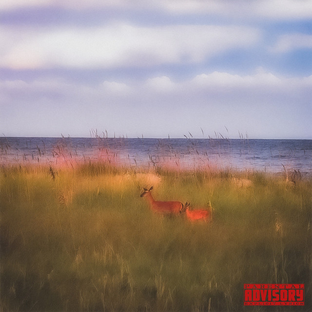 CAMO BOY cover art