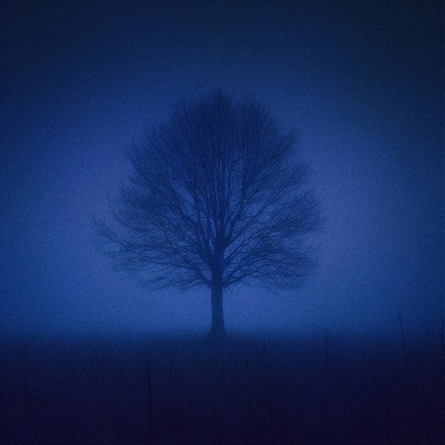 memory cover art