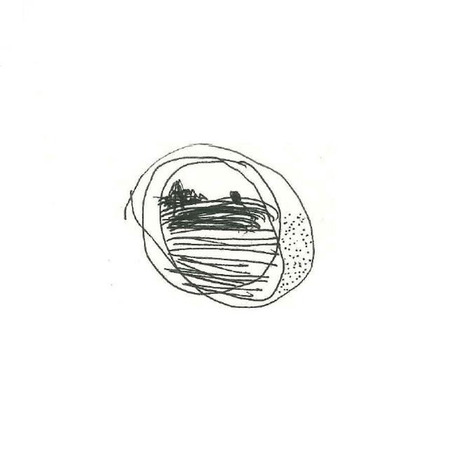 CORAZÓN DE ORCA cover art