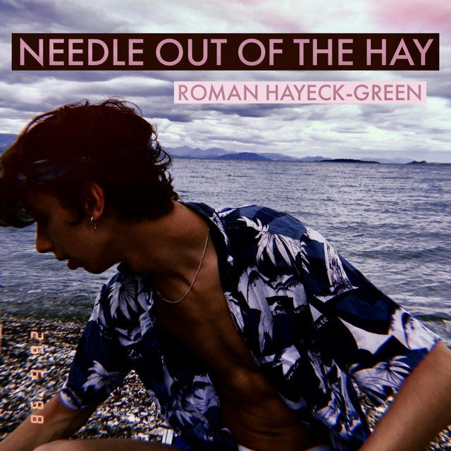Roman Hayeck Green Spotify
