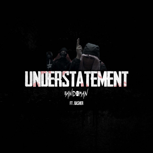 Understatement cover art