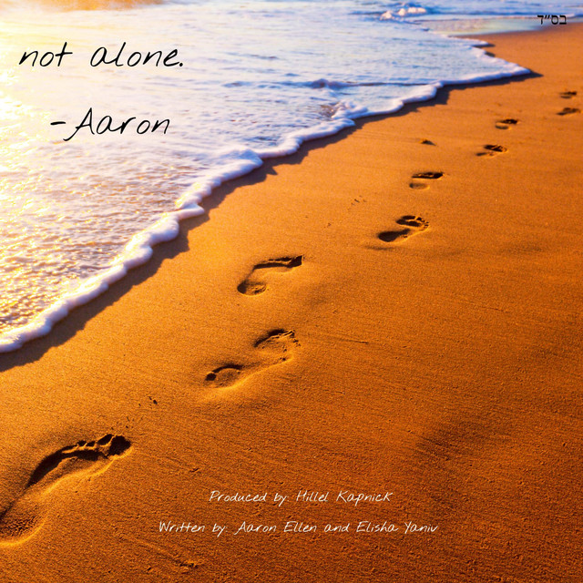 not alone. cover art