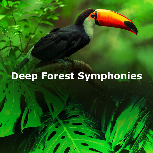 Deep Forest Symphonies - Album by Natural Deep Sleep | Spotify