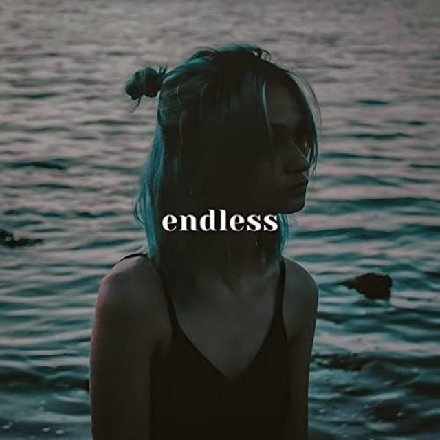 Endless cover art