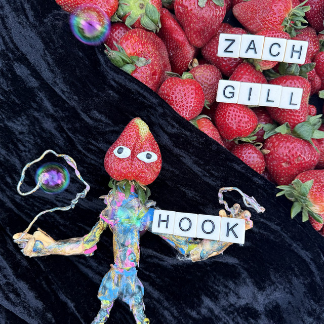 Hook cover art