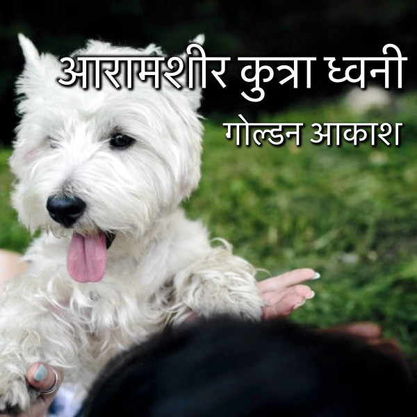 आरामशीर कुत्रा ध्वनी cover art