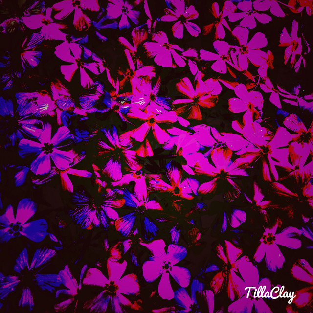 Abstrasity cover art