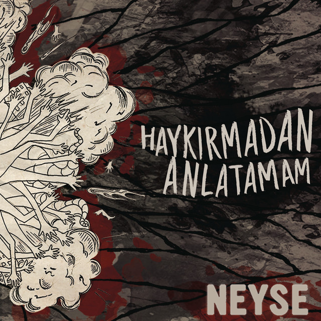 Haykırmadan Anlatamam cover art