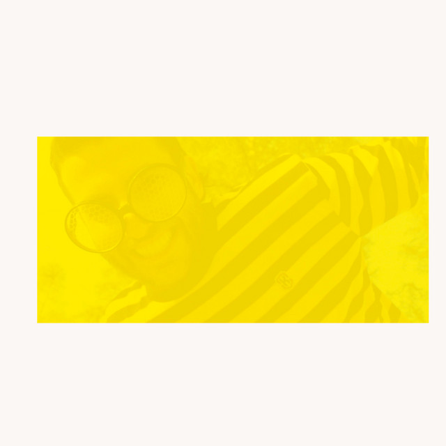 Bumblebee cover art