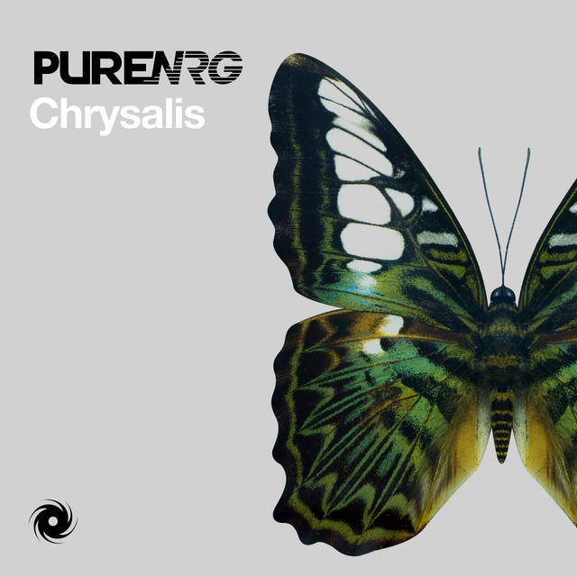 Chrysalis - Extended Mix album art