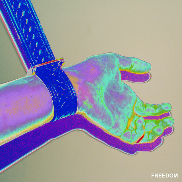 Freedom cover art