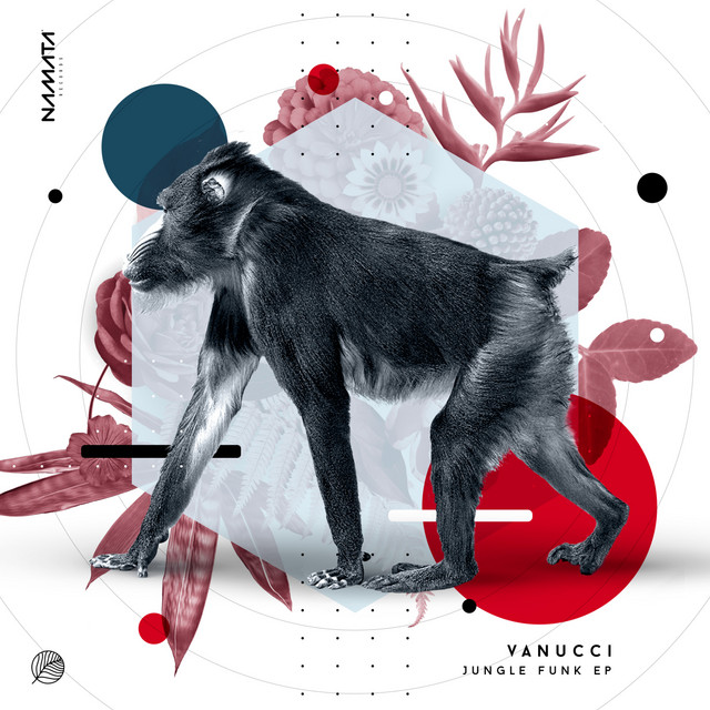 Jungle Dub album art