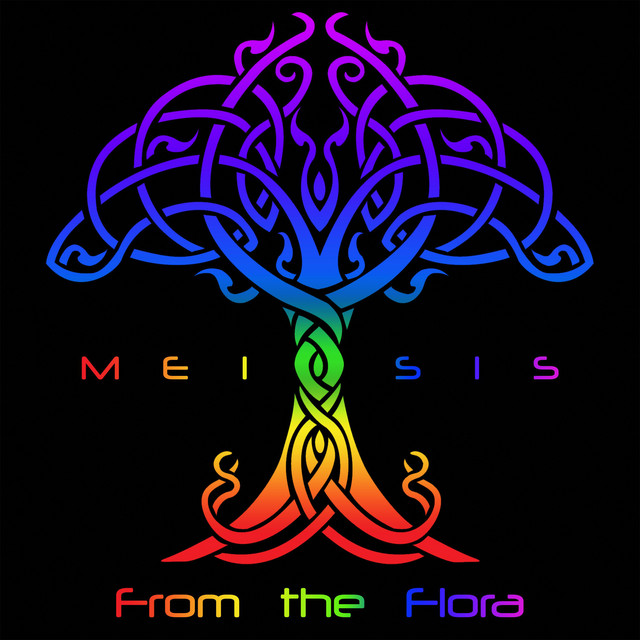 Meiosis