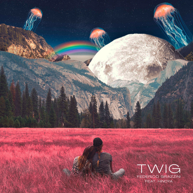 Twig (feat. Hindya) album image