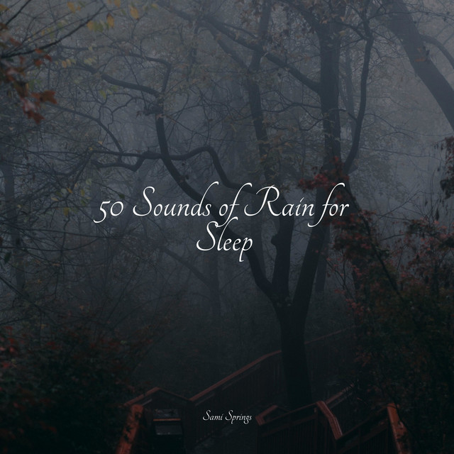 50 Sounds of Rain for Sleep - Album by Ambient Rain | Spotify