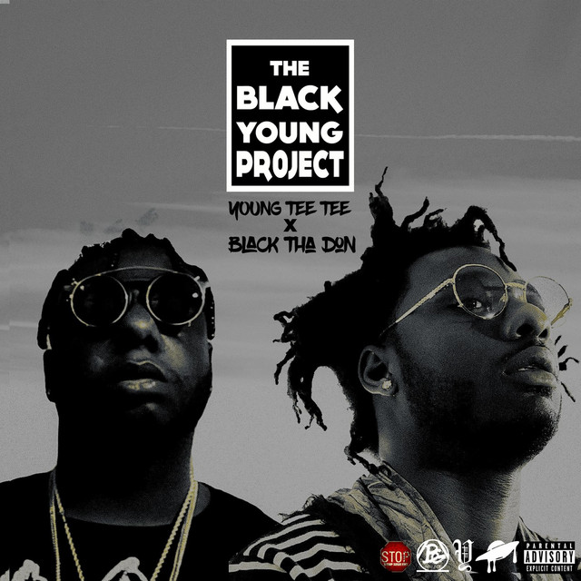 The Black Young Project cover art