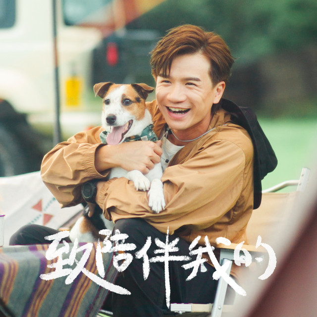 致陪伴我的 cover