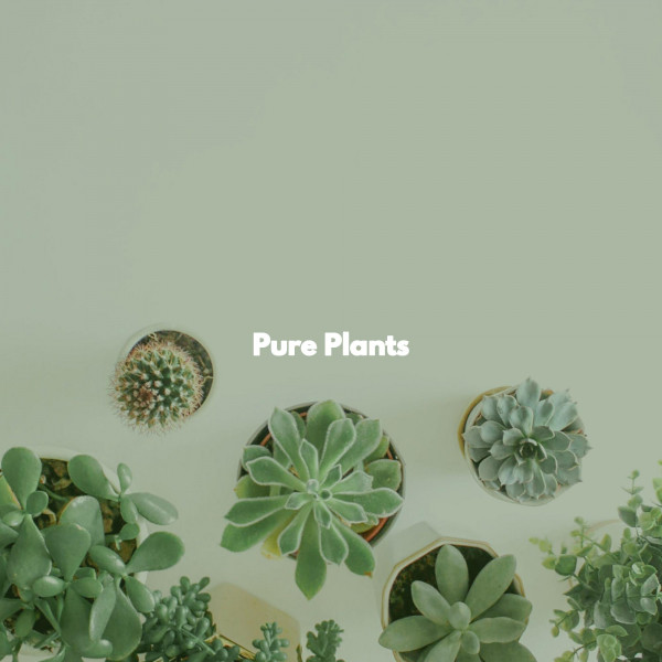 Pure Plants cover art