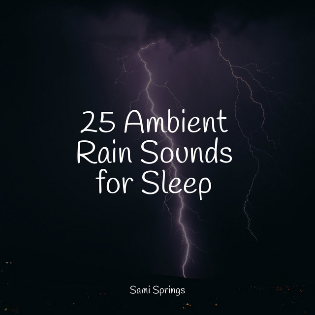 25 Ambient Rain Sounds for Sleep - Album by Life Sounds Nature | Spotify