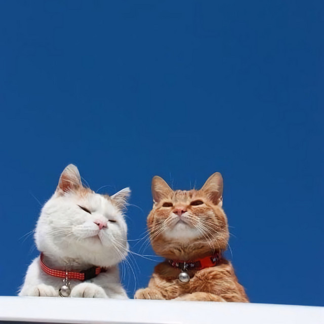 just the 2 of us